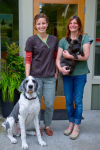 Dr. Lisa Newnham & Dr. Kate Stevens with their dogs at the AAHA vet hospital in Poulsbo, WA.